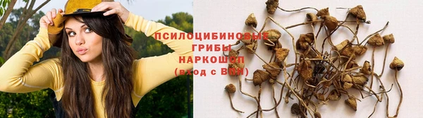 прущие крисы Армянск