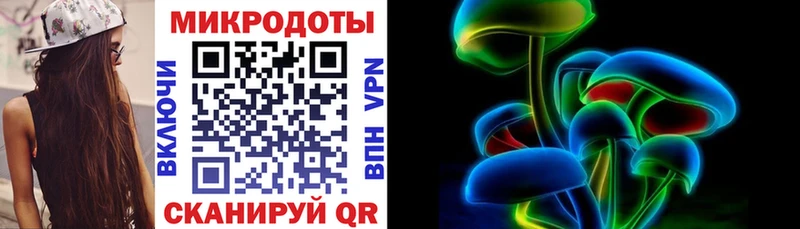 где купить   Багратионовск  Псилоцибиновые грибы GOLDEN TEACHER 